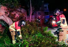 Dopo la tempesta Harry Malta fa i conti con i danni, mare ancora agitato