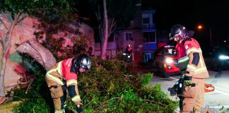 Malta begins cleanup as storm Harry eases, ferry links restored