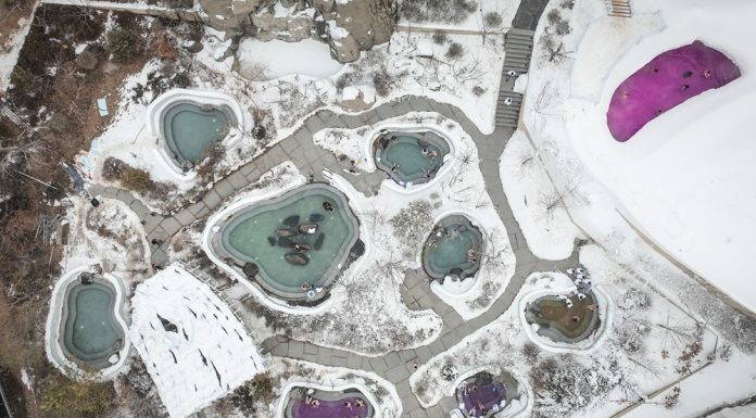 Cina: a Shenyang turismo invernale in crescita tra neve e terme (3)