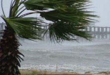 Maltempo, Regione Calabria chiede riconoscimento stato calamità comparto agricolo Alto Ionio