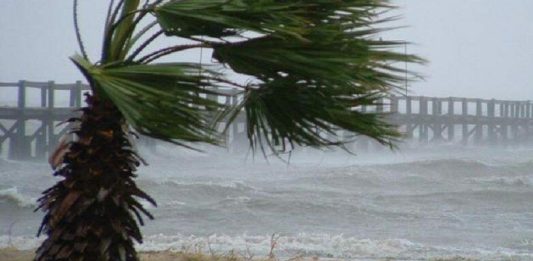 Maltempo, Regione Calabria chiede riconoscimento stato calamità comparto agricolo Alto Ionio