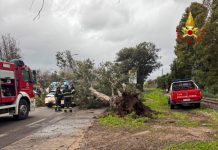 Maltempo, esondazioni e frane in Sardegna: case evacuate e chiuse diverse strade. Allerta meteo prorogata