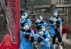 Cina: 30 cuccioli di panda protagonisti di un video di auguri per Capodanno lunare