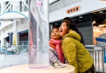 Cina: Festa primavera, oltre 3,5 mln visite in musei scienza e tecnologia durante le vacanze