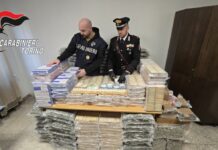 Sequestrata nel Torinese quasi mezza tonnellata di droga, tre arresti