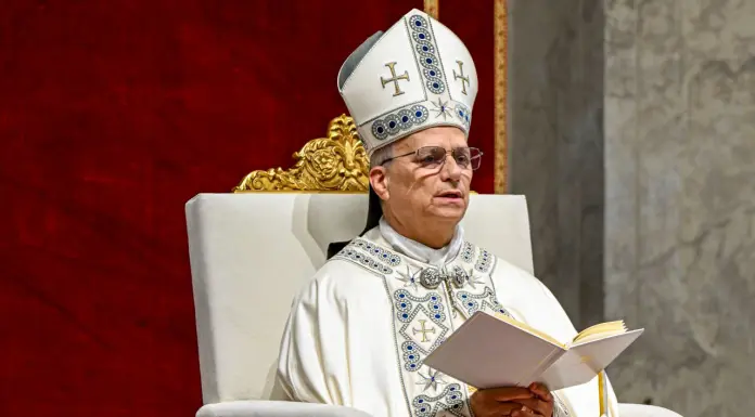 Papa “Scongiurare la corsa agli armamenti che minaccia la pace”