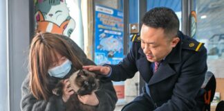 Cina, gli animali domestici adesso possono viaggiare sui treni ad alta velocità