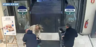 Tenta di rapire una bambina in un supermercato a Bergamo, arrestato
