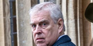 Regno Unito: Bbc “Arrestato Andrea Windsor-Mountbatten”