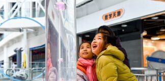 Festa di primavera, oltre 3,5 mln di visite nei musei sci-tech della Cina