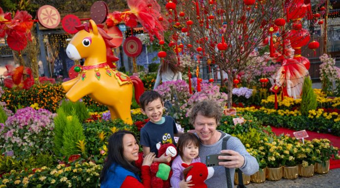 Cina: a Macao un mercato per la Festa di primavera (2)