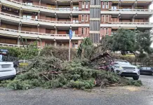 Maltempo: a Palermo 132 interventi dei Vigili del Fuoco per troppo vento, a Messina chiuso tratto autostrada A18