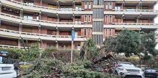 Maltempo: a Palermo 132 interventi dei Vigili del Fuoco per troppo vento, a Messina chiuso tratto autostrada A18