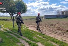 Assalto al portavalori sulla Brindisi-Lecce, proseguono le indagini nelle aree rurali del Salento