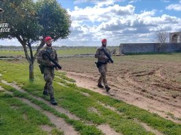 Assalto al portavalori sulla Brindisi-Lecce, proseguono le indagini nelle aree rurali del Salento