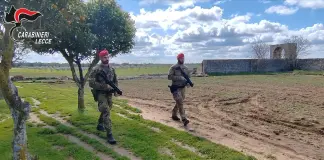 Assalto al portavalori sulla Brindisi-Lecce, proseguono le indagini nelle aree rurali del Salento