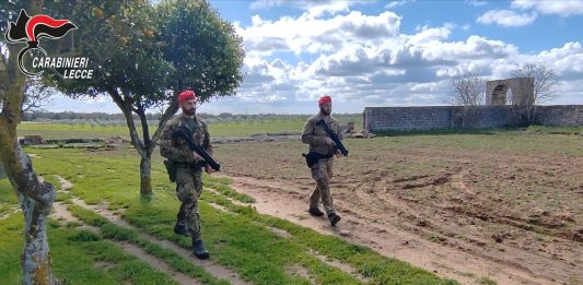 Assalto al portavalori sulla Brindisi-Lecce, proseguono le indagini nelle aree rurali del Salento