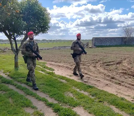 Assalto al portavalori sulla Brindisi-Lecce, proseguono le indagini nelle aree rurali del Salento
