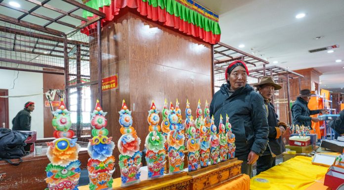 Cina: Xizang, sculture di burro per il Capodanno tibetano (2)