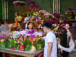 Cina: a Macao un mercato per la Festa di primavera (1)