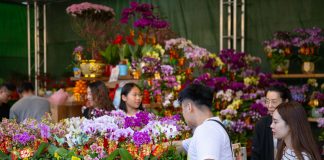 Cina: a Macao un mercato per la Festa di primavera (1)