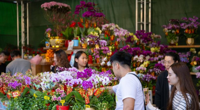 Cina: a Macao un mercato per la Festa di primavera (1)