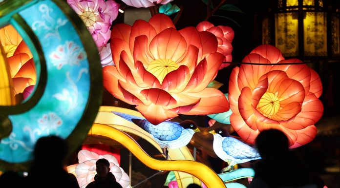 Cina: a Lanzhou una fiera delle lanterne per celebrare il Capodanno (3)