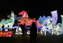 Cina: a Lanzhou una fiera delle lanterne per celebrare il Capodanno (2)