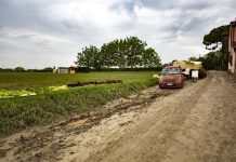 Alluvione del maggio 2023, dalla Regione più risorse per le imprese agricole escluse dai precedenti ristori