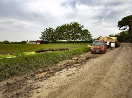 Alluvione del maggio 2023, dalla Regione più risorse per le imprese agricole escluse dai precedenti ristori