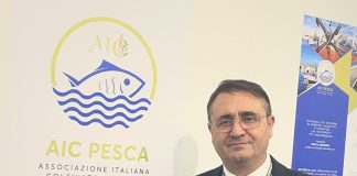 Favignana, Amoroso (AIC Pesca) “Impianto MedWind insostenibile, necessario un confronto”