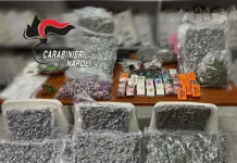 Napoli, blitz a Brusciano: sequestrati proiettili e 21kg di droga