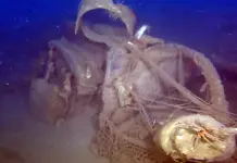 Aereo risalente alla Seconda guerra mondiale ritrovato nel mare del Siracusano