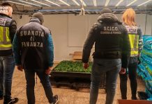 Stroncato un traffico internazionale di droga tra Italia e Spagna, 12 arresti