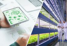 ENEA DRG4FOOD, uso di dati e digitale per migliorare sicurezza e sostenibilità dell’agroalimentare
