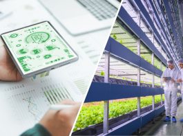 ENEA DRG4FOOD, uso di dati e digitale per migliorare sicurezza e sostenibilità dell’agroalimentare