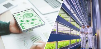 ENEA DRG4FOOD, uso di dati e digitale per migliorare sicurezza e sostenibilità dell’agroalimentare