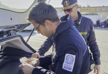Controlli Adm e Guardia di Finanza a Genova, bloccati nel 2025 oltre 5,3 milioni di euro diretti in Nord Africa
