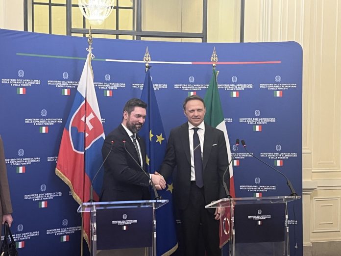 Lollobrigida e Takac