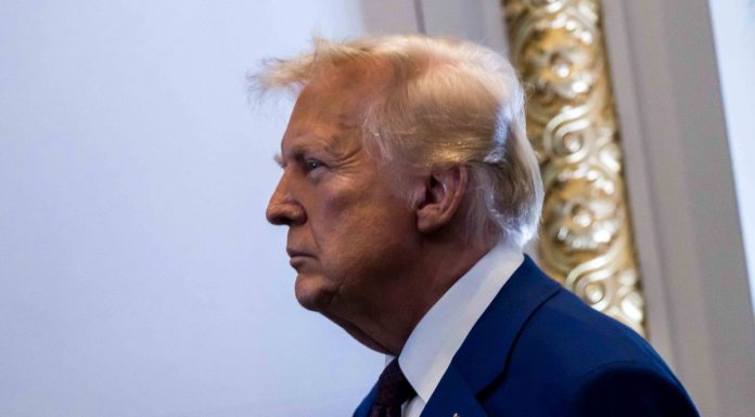 Scandalo Epstein, più Trump lo tira giù, più l’America lo tira su