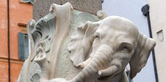 Nel centro di Roma danneggiato l’Elefante del Bernini. Giuli: “Inammissibile atto di barbarie”