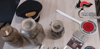 Operazione antidroga sull’Isola d’Elba, 4 arresti e 8 indagati