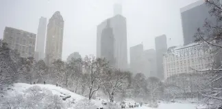 Tempesta di neve nel Nord Est degli Stati Uniti, New York paralizzata