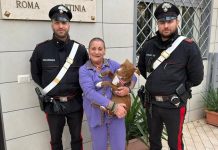 Tenta di estorcere denaro per la restituzione di un Pitbull rubato, 35enne denunciata a Roma