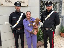 Tenta di estorcere denaro per la restituzione di un Pitbull rubato, 35enne denunciata a Roma