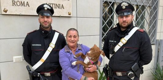 Tenta di estorcere denaro per la restituzione di un Pitbull rubato, 35enne denunciata a Roma