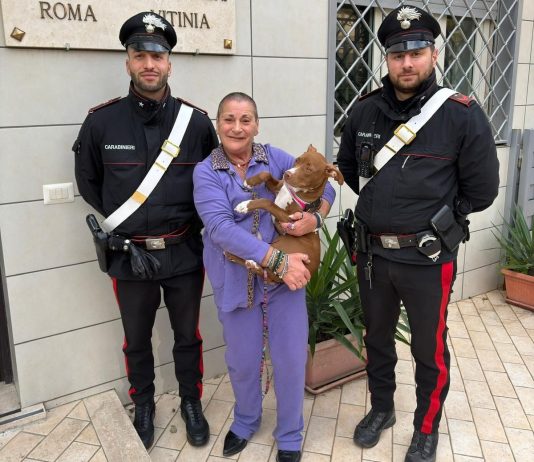 Tenta di estorcere denaro per la restituzione di un Pitbull rubato, 35enne denunciata a Roma