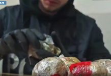 Controlli antidroga della Polizia nella periferia Nord-Est di Roma, 7 arresti