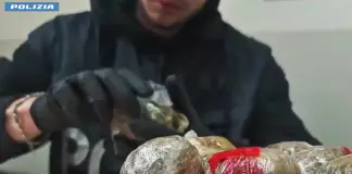 Controlli antidroga della Polizia nella periferia Nord-Est di Roma, 7 arresti