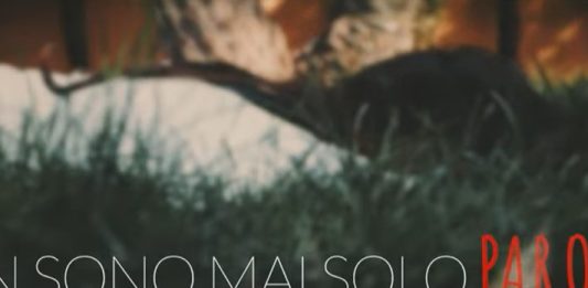 ASL Roma1, ISS e Sapienza insieme per formare insegnanti e docenti nel contrasto al cyberbullismo